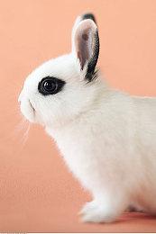 《仙剑世界》全新剧情预告 经典主角悉数登场